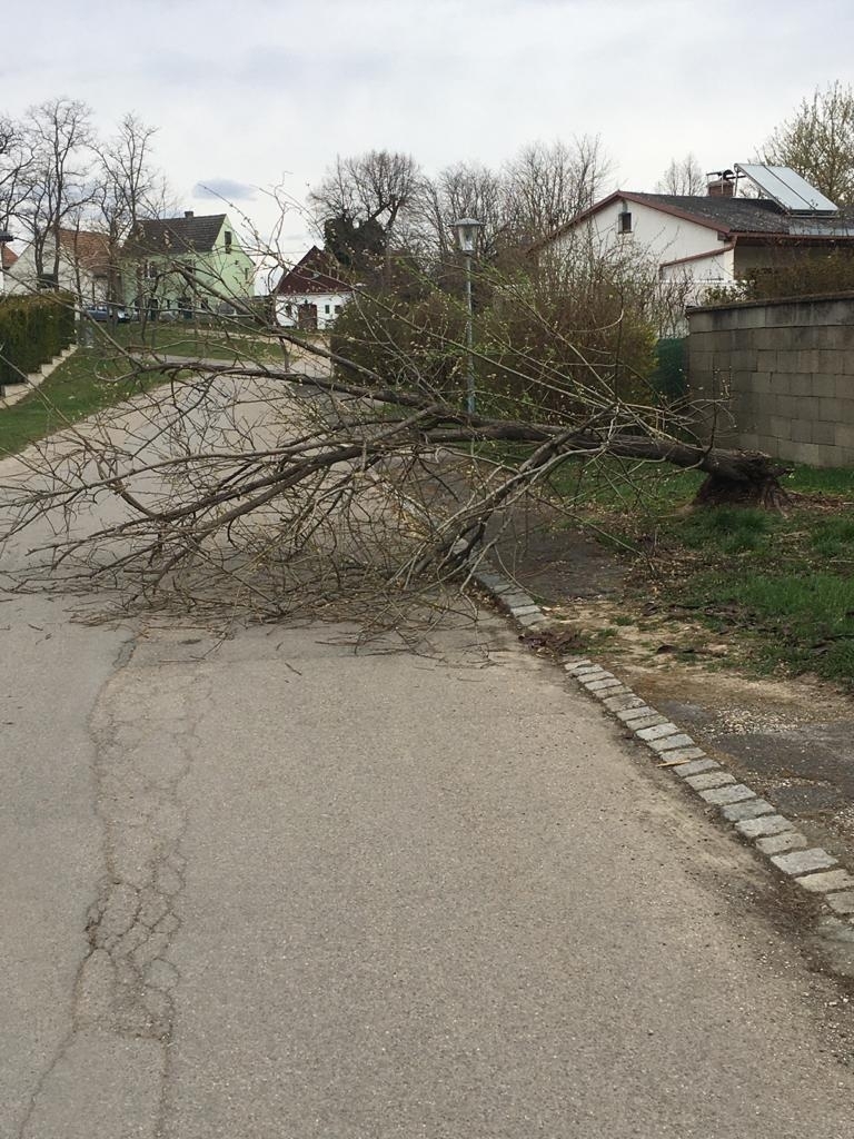 Technischer Einsatz Technischer Einsatz
